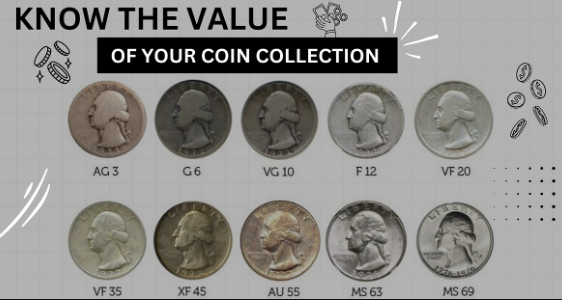 Understanding Coin Grading: A Complete Guide for Collectors